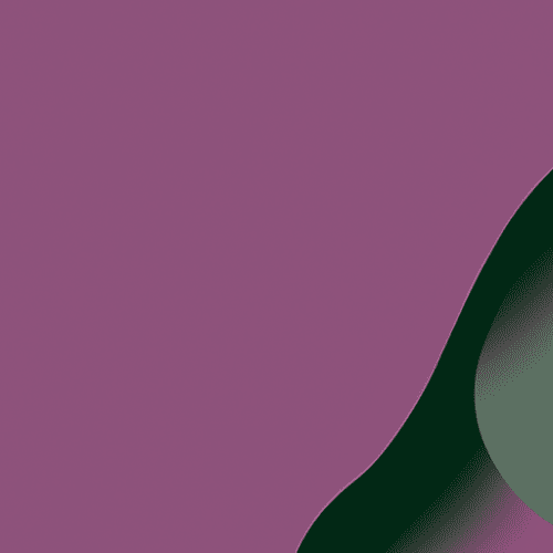 Pourquoi les Langues Sud Africaines Comptent Plus que Jamais