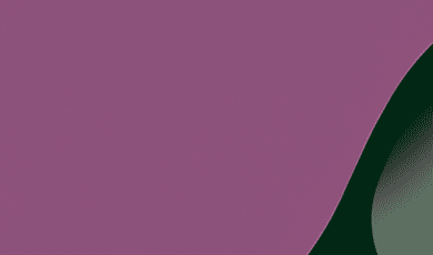 Pourquoi les Langues Sud Africaines Comptent Plus que Jamais